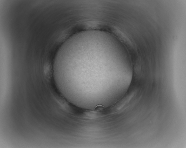 X0000111940079200908031146