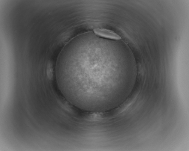 X0000111940080200908031146