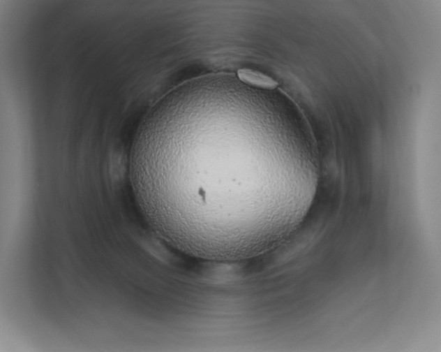 X0000111940081200908031146