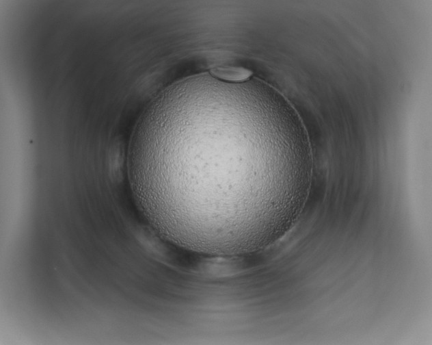 X0000111940082200908031146