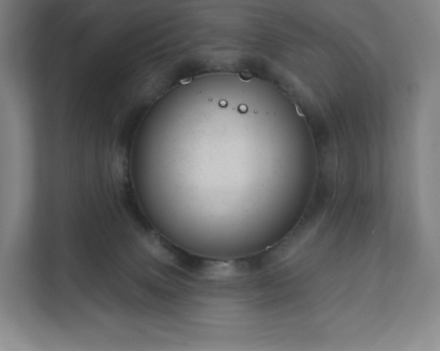 X0000111940083200908031146