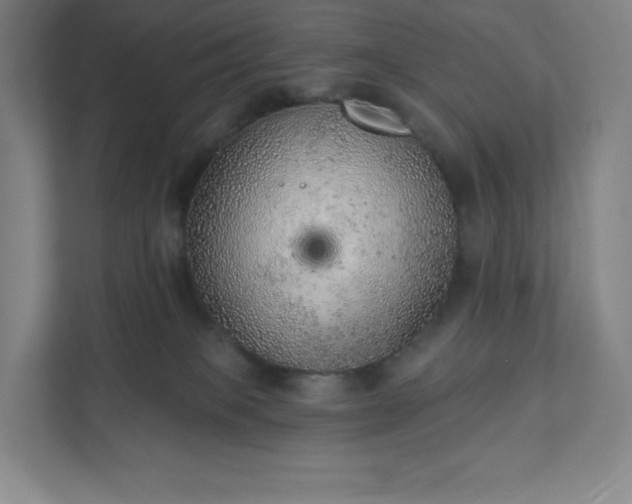 X0000111940085200908031146