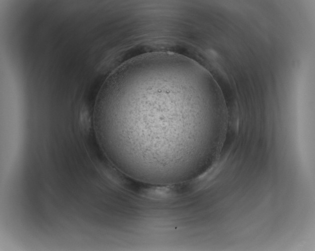 X0000111940086200908031146