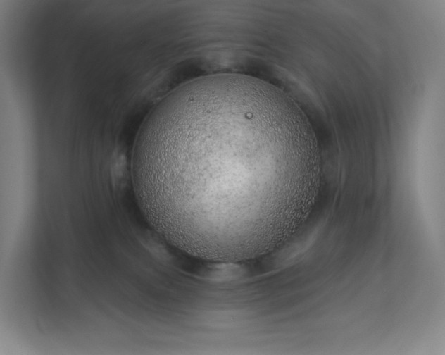 X0000111940087200908031146