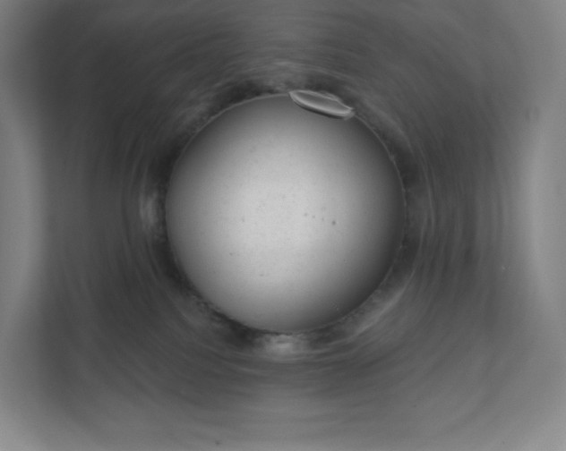 X0000111940088200908031146