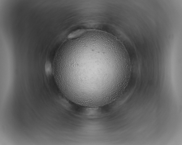 X0000111940089200908031147