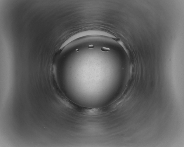 X0000111940092200908031147