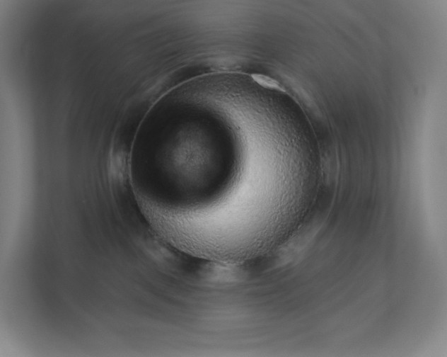 X0000111940093200908031147