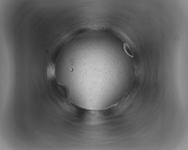 X0000111940095200908031147