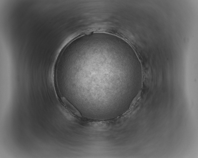 X0000111940100200908031146