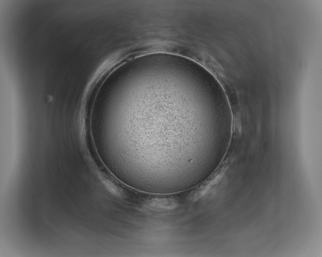 X0000111940101200908031146