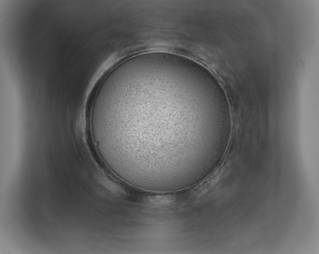 X0000111940102200908031146