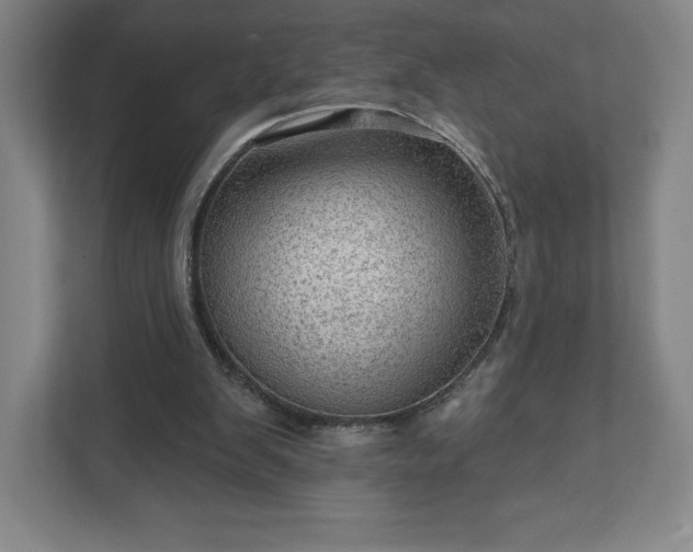 X0000111940103200908031146