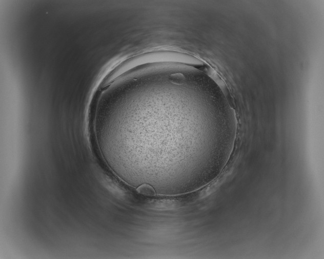 X0000111940104200908031146