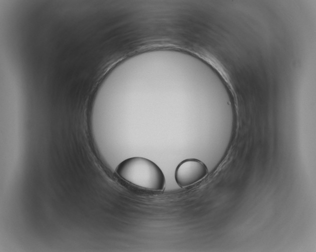 X0000111940105200908031146