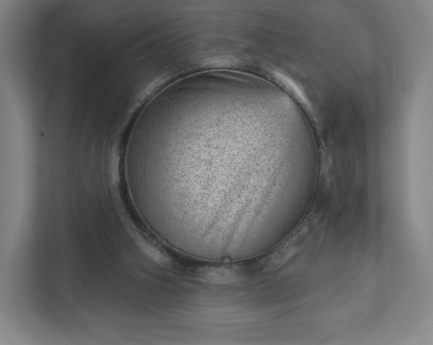 X0000111940106200908031146