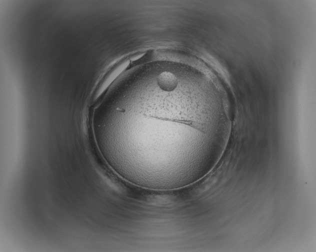 X0000111940107200908031146