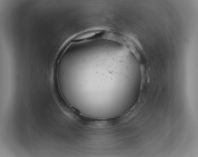 X0000111940108200908031146