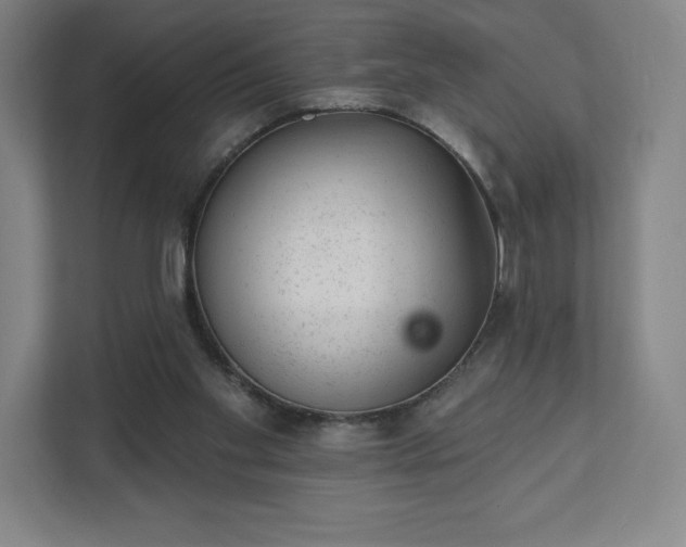 X0000111940109200908031146