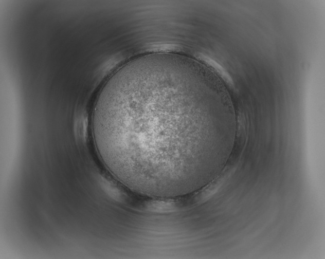 X0000111940110200908031146