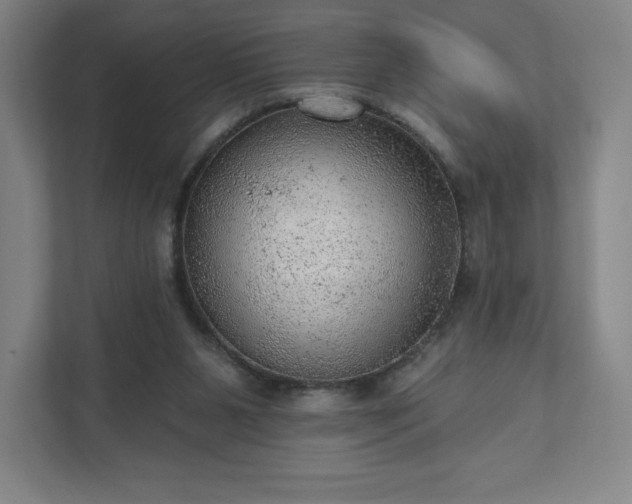 X0000111940111200908031146