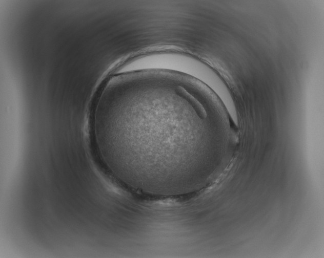 X0000111940112200908031146