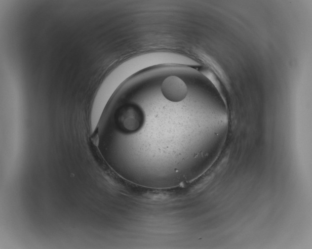 X0000111940113200908031146