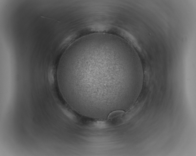 X0000111940114200908031146