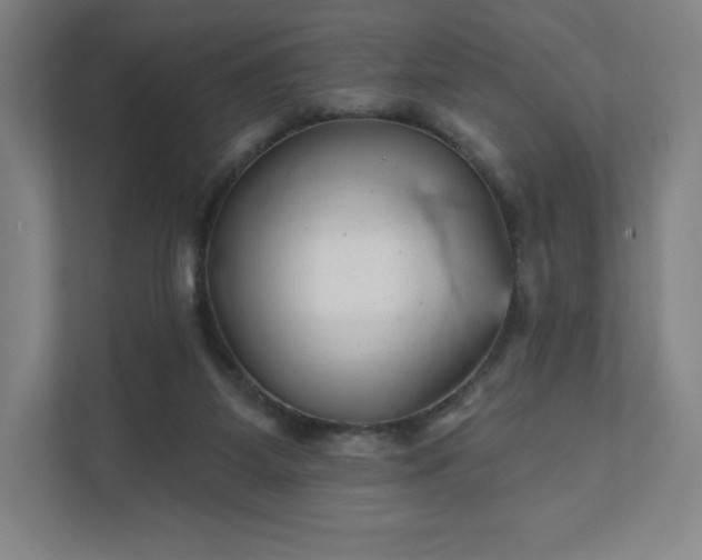 X0000111940115200908031146