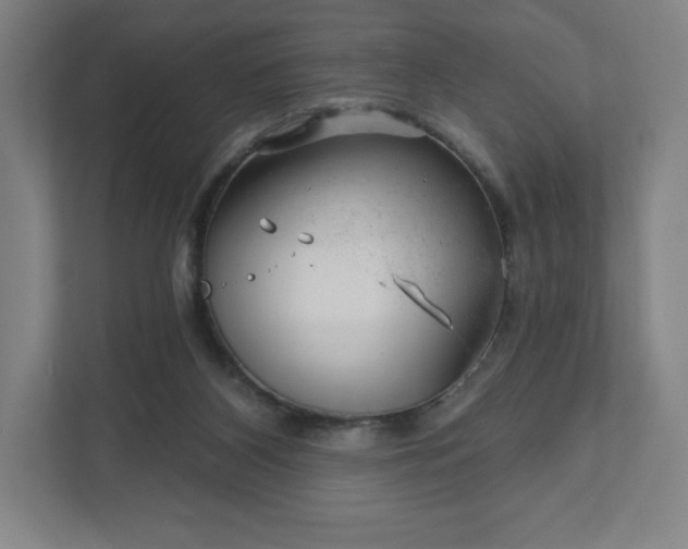 X0000111940116200908031146