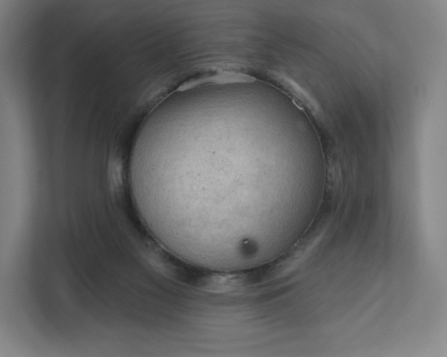 X0000111940117200908031146