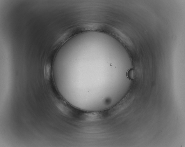 X0000111940118200908031146