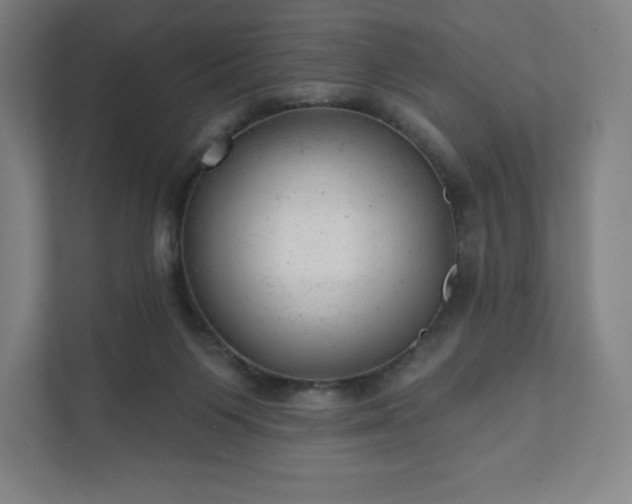 X0000111940119200908031146