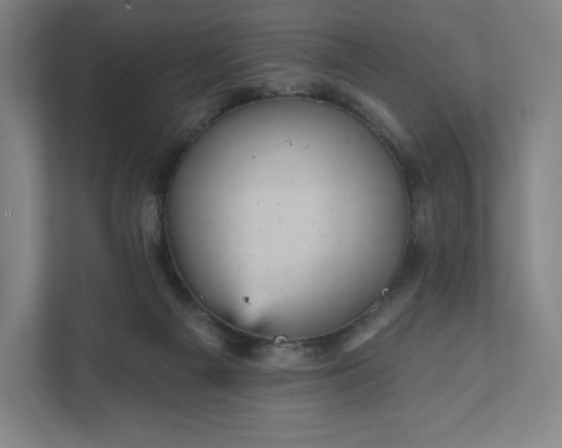 X0000111940121200908031146