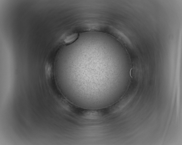 X0000111940123200908031146