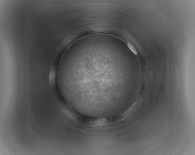 X0000111940124200908031146