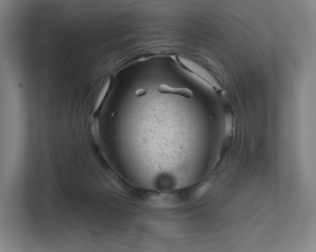 X0000111940125200908031146