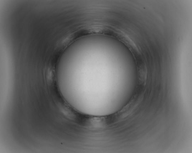 X0000111940126200908031146