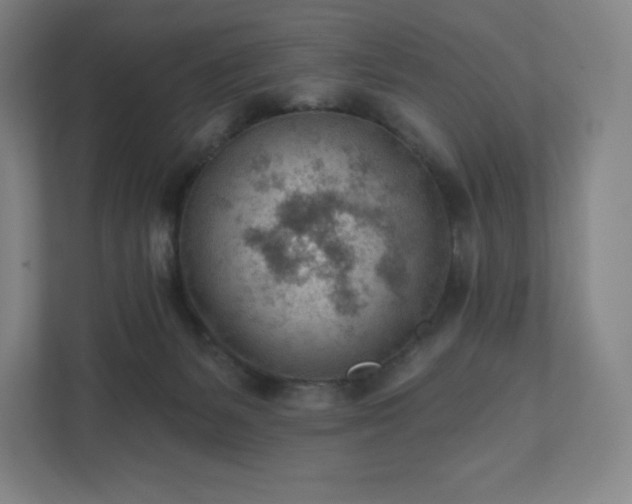 X0000111940127200908031146