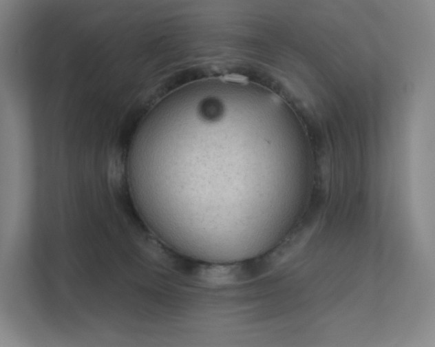 X0000111940129200908031146