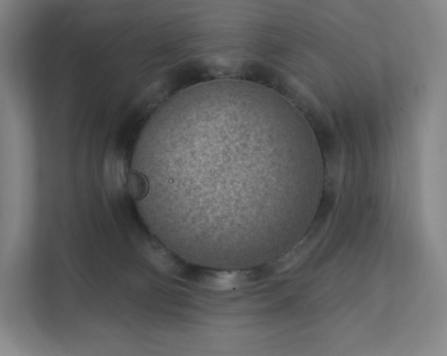 X0000111940130200908031146