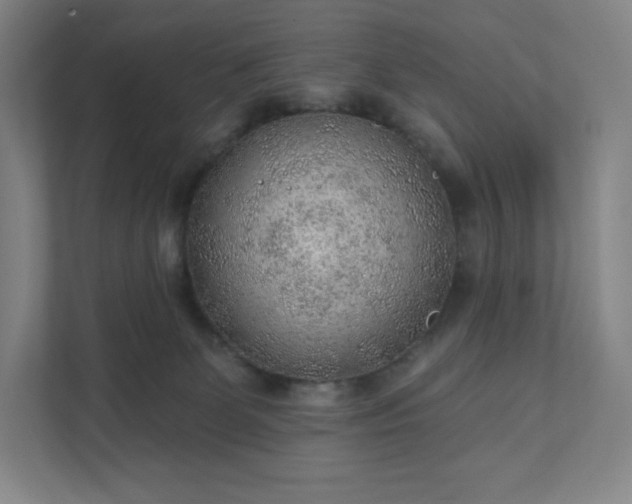 X0000111940131200908031146