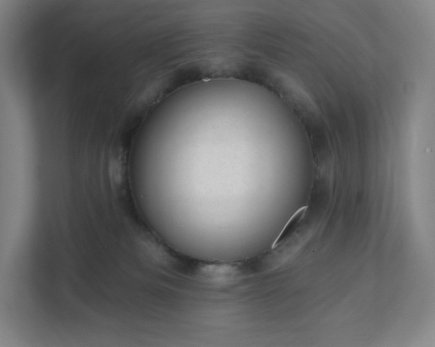 X0000111940133200908031145