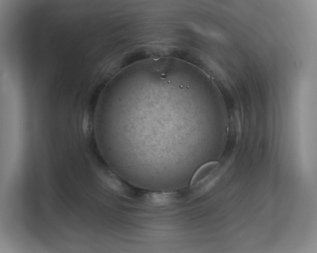 X0000111940134200908031145