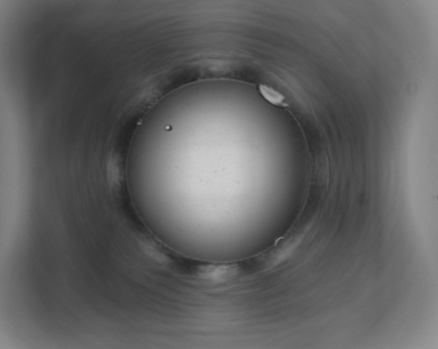 X0000111940135200908031145