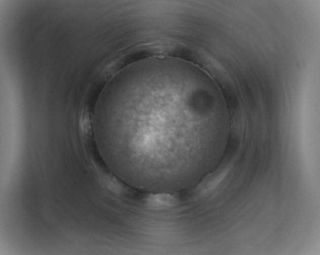 X0000111940137200908031145