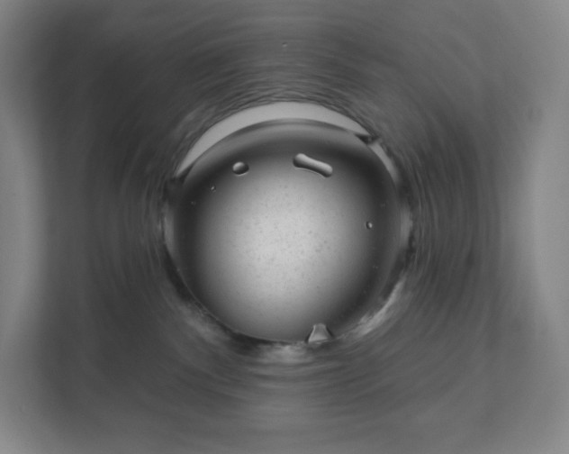 X0000111940140200908031145