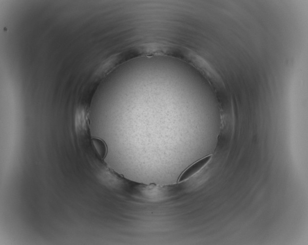 X0000111940142200908031145