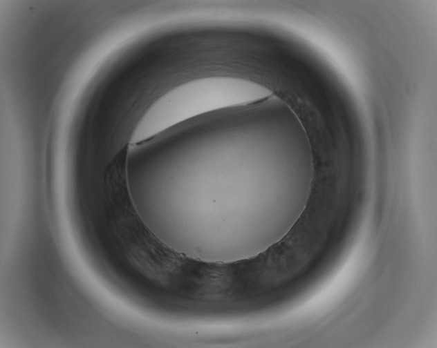 X0000111940143200908031145