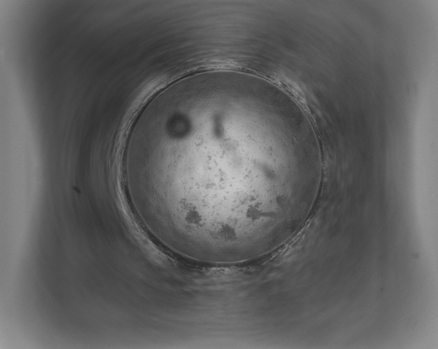 X0000111940145200908031145